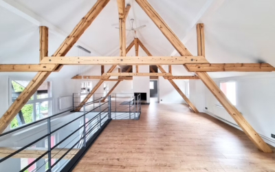 1 Renovation duplex Schiltigheim