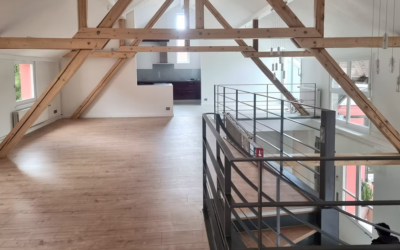 6 renovation salon et cuisine